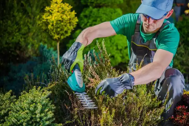 landscaping services Lake St. Louis